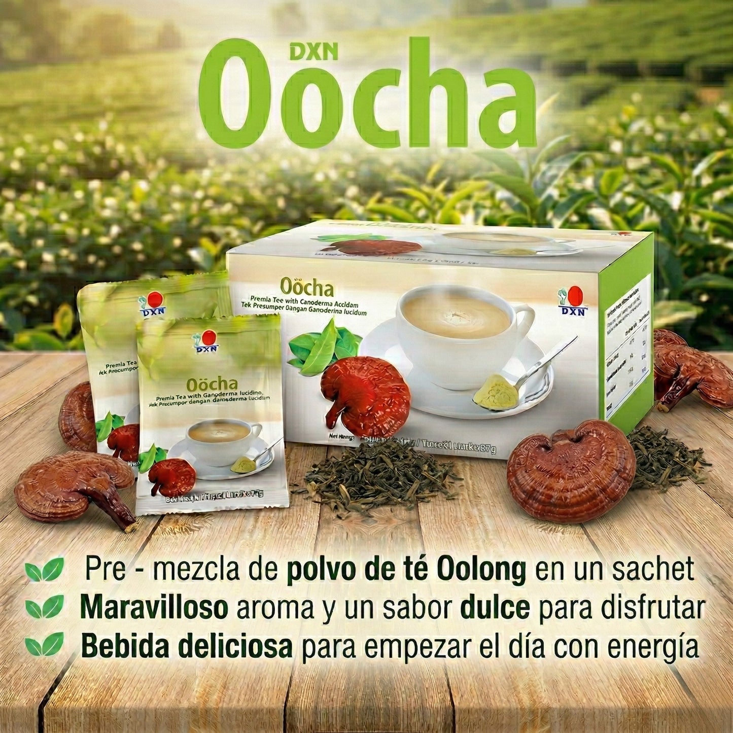 Té Oocha DXN con Ganoderma – Té Oolong (12 sobres)