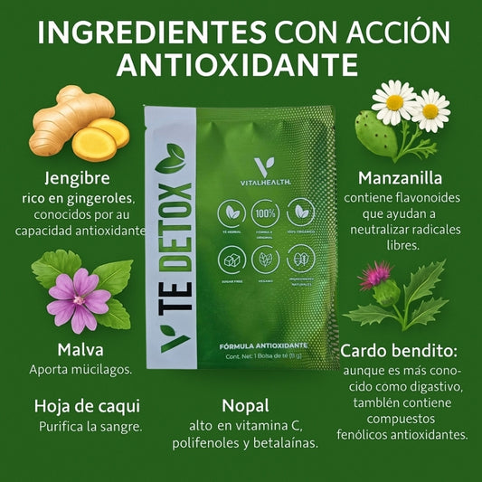 Ingredientes naturales del Té Detox VitalHealth hojas de malva, jenjibre, nopal y cardo santo